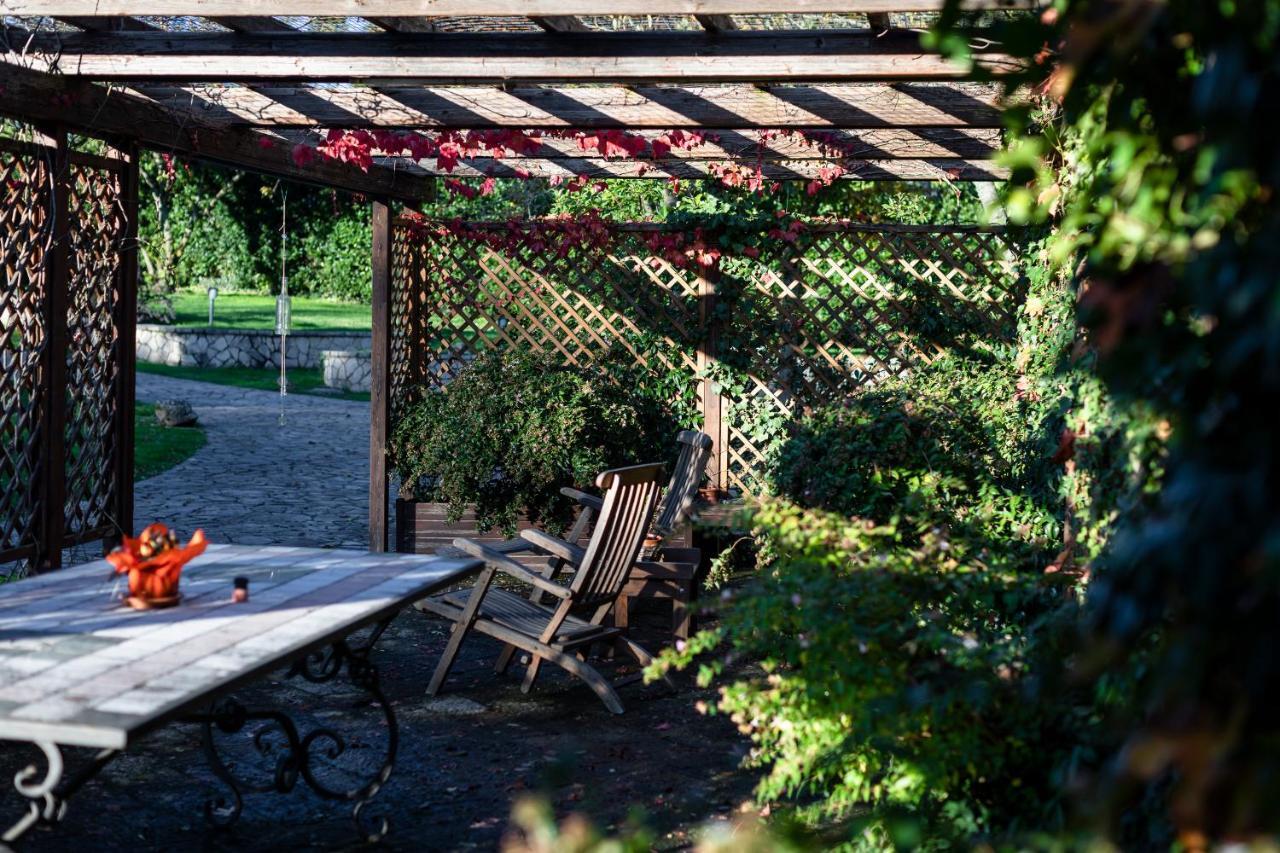 Le Fontanelle Apartment Bagnoregio Exterior foto